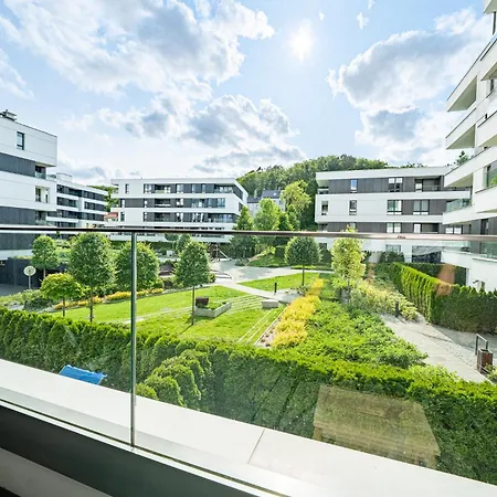 Konstelacja Gwiazd Gdynia